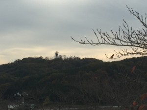 28.11.15
